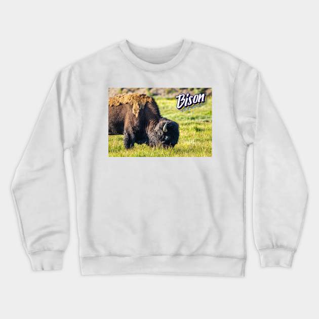 Bison at Yellowstone Crewneck Sweatshirt by Gestalt Imagery